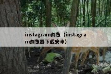 instagram浏览（instagram浏览器下载安卓）