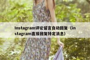 Instagram评论留言自动回复（instagram直接回复特定消息）