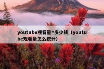 youtube观看量=多少钱（youtube观看量怎么统计）