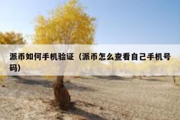 派币如何手机验证（派币怎么查看自己手机号码）