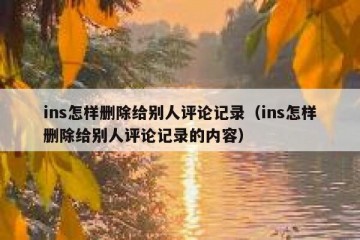 ins怎样删除给别人评论记录（ins怎样删除给别人评论记录的内容）