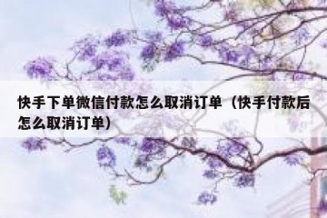 快手下单微信付款怎么取消订单（快手付款后怎么取消订单）