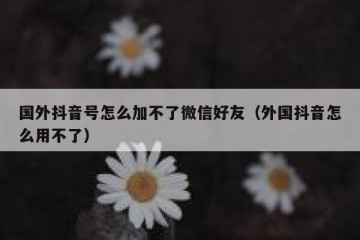 国外抖音号怎么加不了微信好友（外国抖音怎么用不了）