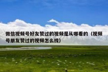 微信视频号好友赞过的视频是从哪看的（视频号朋友赞过的视频怎么找）