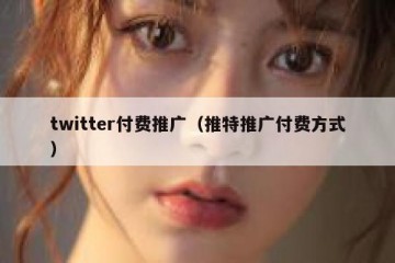 twitter付费推广（推特推广付费方式）
