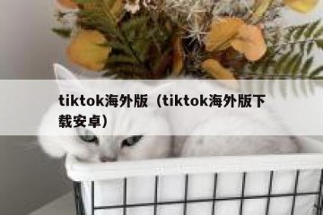 tiktok海外版（tiktok海外版下载安卓）