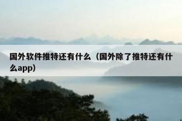 国外软件推特还有什么（国外除了推特还有什么app）