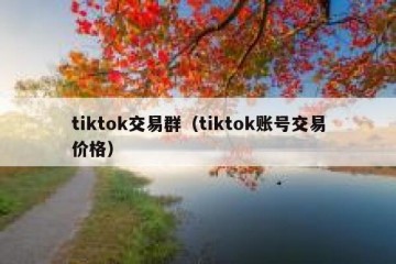 tiktok交易群（tiktok账号交易价格）