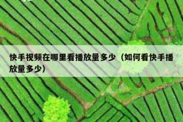 快手视频在哪里看播放量多少（如何看快手播放量多少）