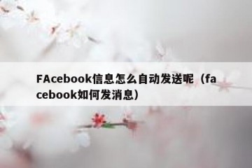 FAcebook信息怎么自动发送呢（facebook如何发消息）