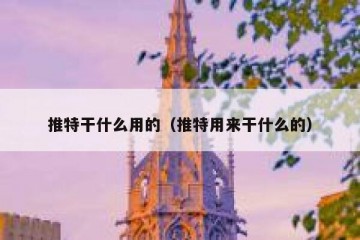 推特干什么用的（推特用来干什么的）