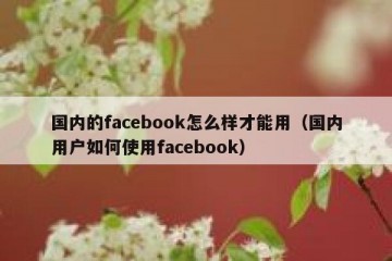 国内的facebook怎么样才能用（国内用户如何使用facebook）