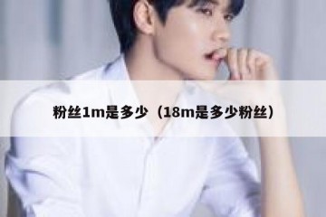粉丝1m是多少（18m是多少粉丝）