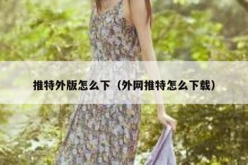 推特外版怎么下（外网推特怎么下载）