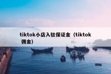 tiktok小店入驻保证金（tiktok 佣金）
