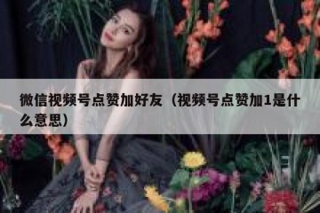 微信视频号点赞加好友（视频号点赞加1是什么意思）