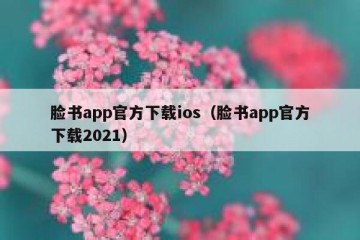 脸书app官方下载ios（脸书app官方下载2021）