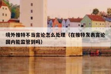境外推特不当言论怎么处理（在推特发表言论国内能监管到吗）