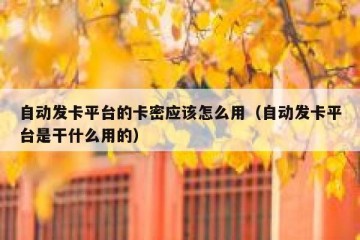 自动发卡平台的卡密应该怎么用（自动发卡平台是干什么用的）
