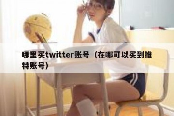 哪里买twitter账号（在哪可以买到推特账号）