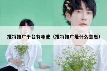 推特推广平台有哪些（推特推广是什么意思）