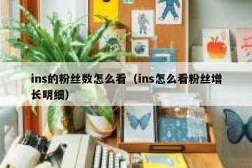 ins的粉丝数怎么看（ins怎么看粉丝增长明细）