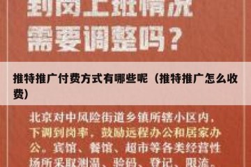 推特推广付费方式有哪些呢（推特推广怎么收费）