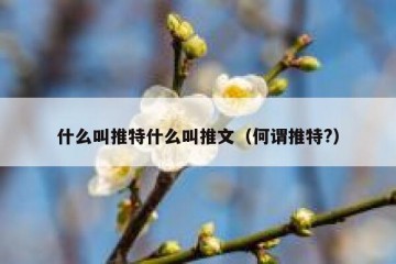 什么叫推特什么叫推文（何谓推特?）