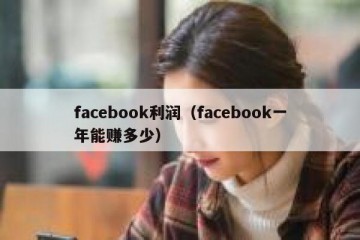 facebook利润（facebook一年能赚多少）