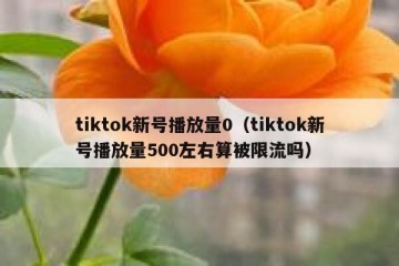tiktok新号播放量0（tiktok新号播放量500左右算被限流吗）
