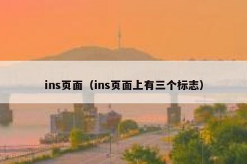 ins页面（ins页面上有三个标志）