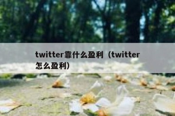 twitter靠什么盈利（twitter怎么盈利）