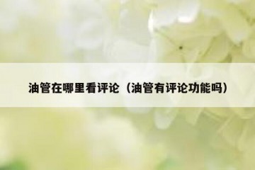 油管在哪里看评论（油管有评论功能吗）