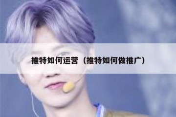 推特如何运营（推特如何做推广）