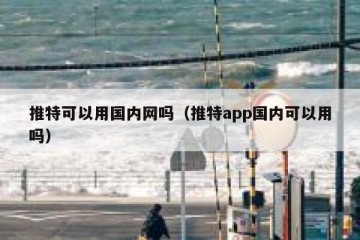 推特可以用国内网吗（推特app国内可以用吗）