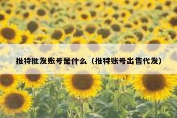 推特批发账号是什么（推特账号出售代发）