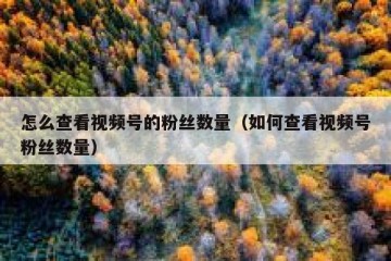 怎么查看视频号的粉丝数量（如何查看视频号粉丝数量）