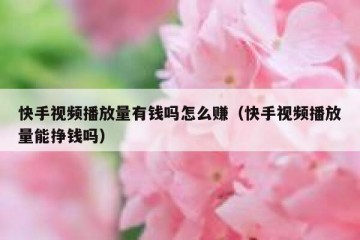 快手视频播放量有钱吗怎么赚（快手视频播放量能挣钱吗）