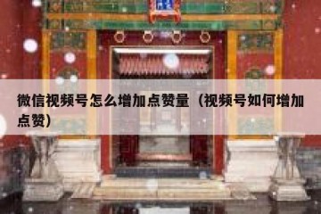 微信视频号怎么增加点赞量（视频号如何增加点赞）