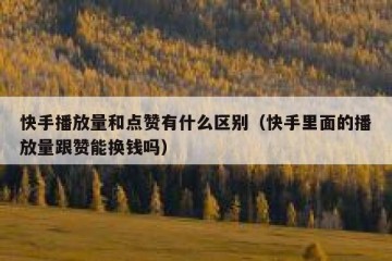 快手播放量和点赞有什么区别（快手里面的播放量跟赞能换钱吗）