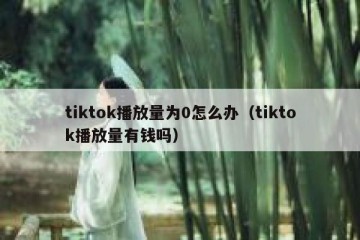 tiktok播放量为0怎么办（tiktok播放量有钱吗）