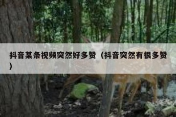 抖音某条视频突然好多赞（抖音突然有很多赞）