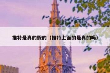 推特是真的假的（推特上面的是真的吗）