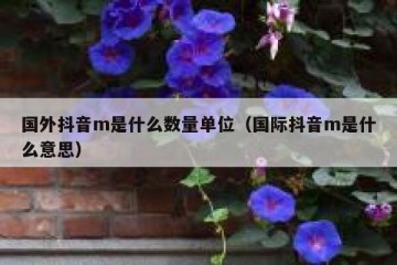 国外抖音m是什么数量单位（国际抖音m是什么意思）