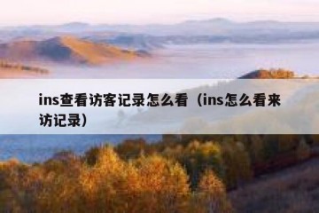 ins查看访客记录怎么看（ins怎么看来访记录）