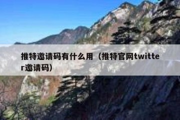 推特邀请码有什么用（推特官网twitter邀请码）
