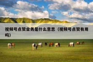 视频号点赞业务是什么意思（视频号点赞有用吗）