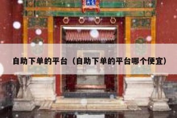 自助下单的平台（自助下单的平台哪个便宜）