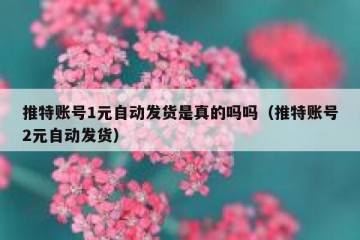 推特账号1元自动发货是真的吗吗（推特账号2元自动发货）