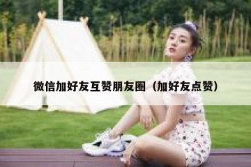 微信加好友互赞朋友圈（加好友点赞）